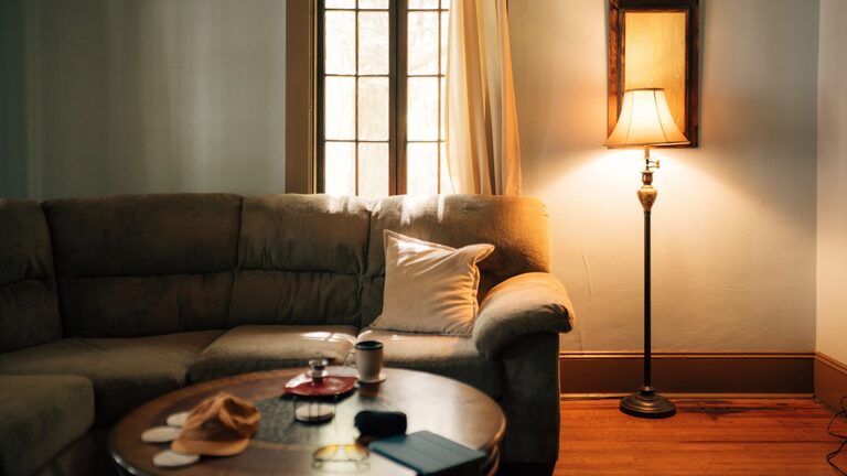 Affordable Tips for Creating a Cozy and Inviting Living Space